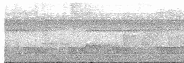 Diard Trogonu - ML245460251