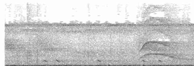 Diard's Trogon - ML245460301