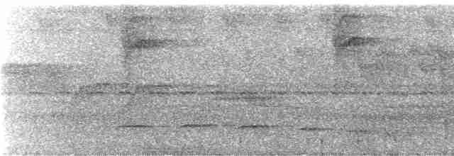 Turuncu Yanaklı Tangara - ML245463