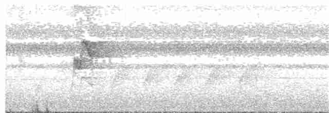 White-necked Babbler - ML245466671