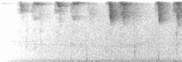 Серогрудый дромник - ML245477