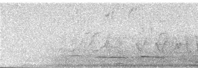 オウギオハチドリ - ML245490