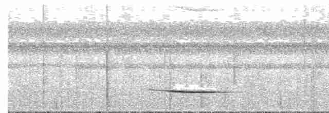 Rufous-tailed Shama - ML245491431