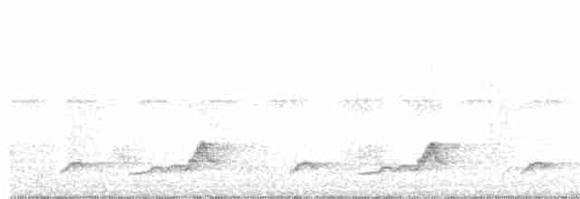 Schwarzkehl-Nachtschwalbe - ML245502181