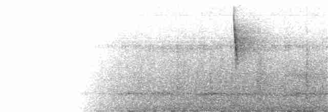 Серогорлый дромник - ML245512061