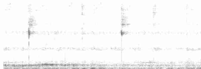 Scissor-tailed Nightjar - ML245532141