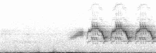 Дрізд-короткодзьоб бурий - ML245536341