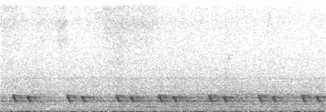 Red-necked Nightjar - ML245569131