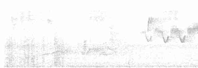 Cerulean Warbler - ML245570521