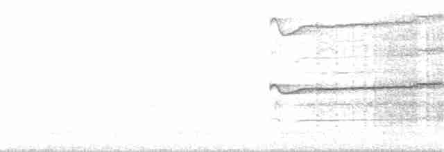 Ширококрылый канюк - ML245575821
