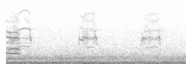 kakadu hnědohlavý - ML245576381