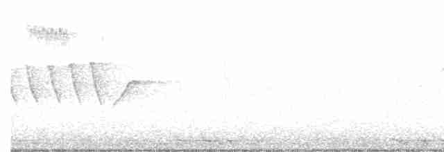Black-billed Cuckoo - ML245610731