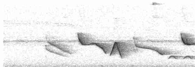 Troglodyte à moustaches - ML245618501