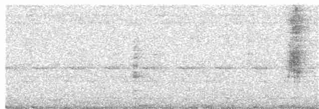 カンムリクロフウキンチョウ（cristatus グループ） - ML245619871