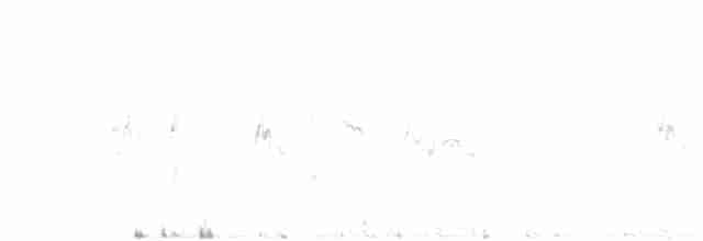 アカエリツメナガホオジロ - ML24562201