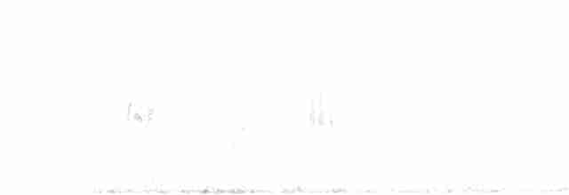アカエリツメナガホオジロ - ML24562221
