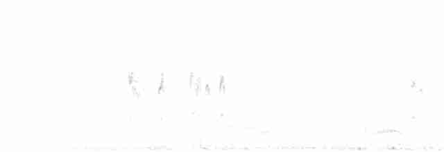 アカエリツメナガホオジロ - ML24562261