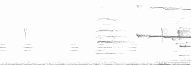 Ширококрылый канюк - ML245631361