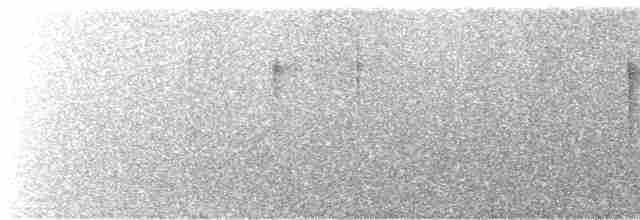Picumne de Sclater - ML245634