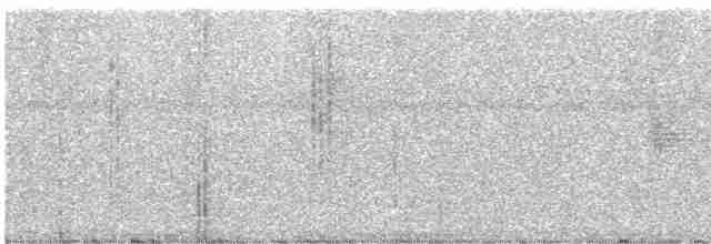 Серогрудый мухолов - ML245664
