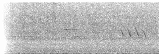 Prairie Warbler - ML245666361