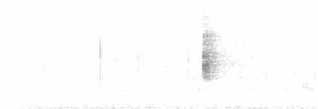 Common Yellowthroat - ML245667161
