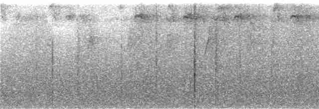 Колібрі-лісовичок буроголовий - ML245673