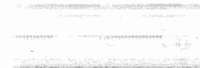 Black-naped Oriole - ML245687001
