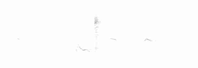 Bulbul Ventridorado - ML245701311