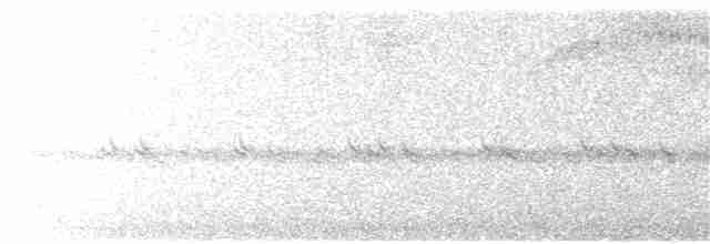 sotslørugle (tenebricosa/arfaki) - ML245749891