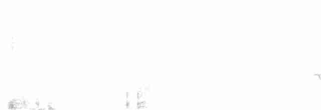 Trogón Elegante - ML245756281