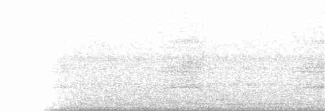 Сипуха крапчаста - ML245775321