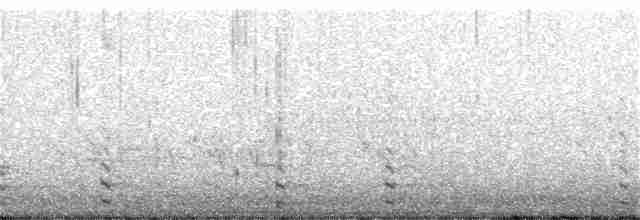 Common Gallinule - ML245776261