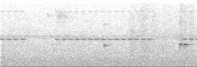 Тітіріджі східний - ML245778791