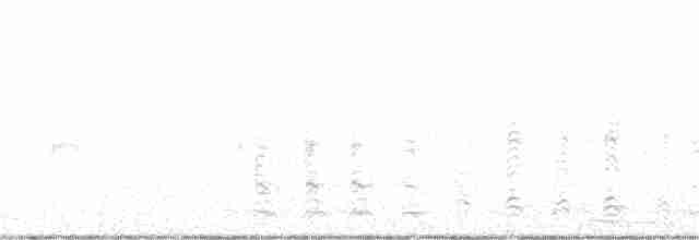 gråmåke (smithsonianus) (amerikagråmåke) - ML245827431