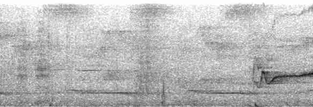 blåvingelattertrost - ML24585