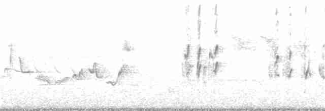 Hirondelle rustique - ML245850161