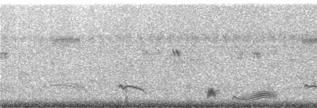 Ecuadornachtschwalbe - ML245863