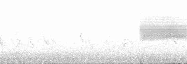 Бледная малая овсянка - ML245868591