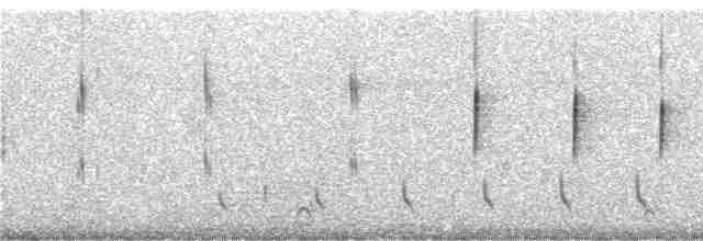 Kısa Kuyruklu Tiran - ML245885