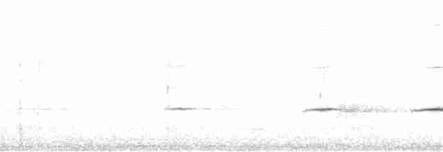 Altuni Islıkçı - ML245904051