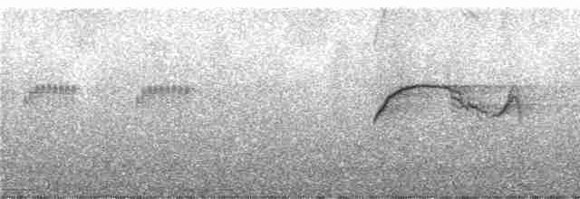 Шуліка-зубодзьоб рудогрудий - ML245907