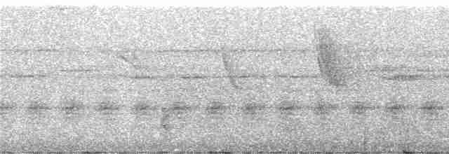 Блаватник чорнодзьобий - ML245912