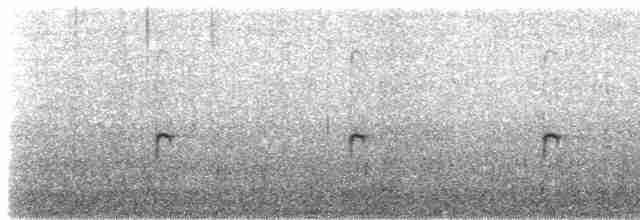 Spotted Sandpiper - ML245919591