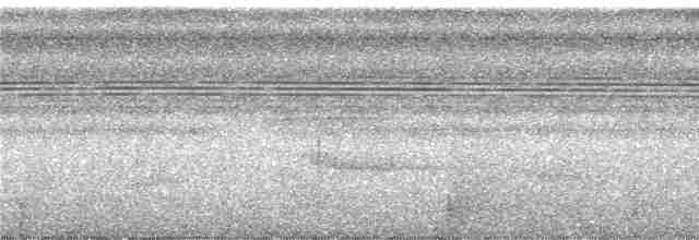 Turuncu Taçlı Manakin - ML245971