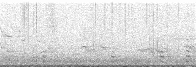 Common Gallinule - ML245988101