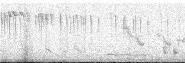 stumpstjertkolibri - ML245991