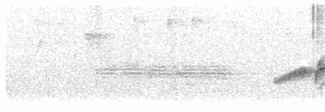 Дрізд-короткодзьоб бурий - ML246010371