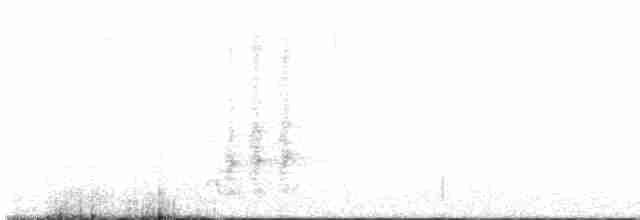 カナダカケス（obscurus／griseus） - ML246012231