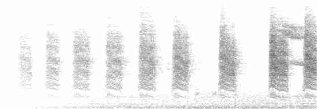 Braunaugenvireo (pusillus) - ML246012701
